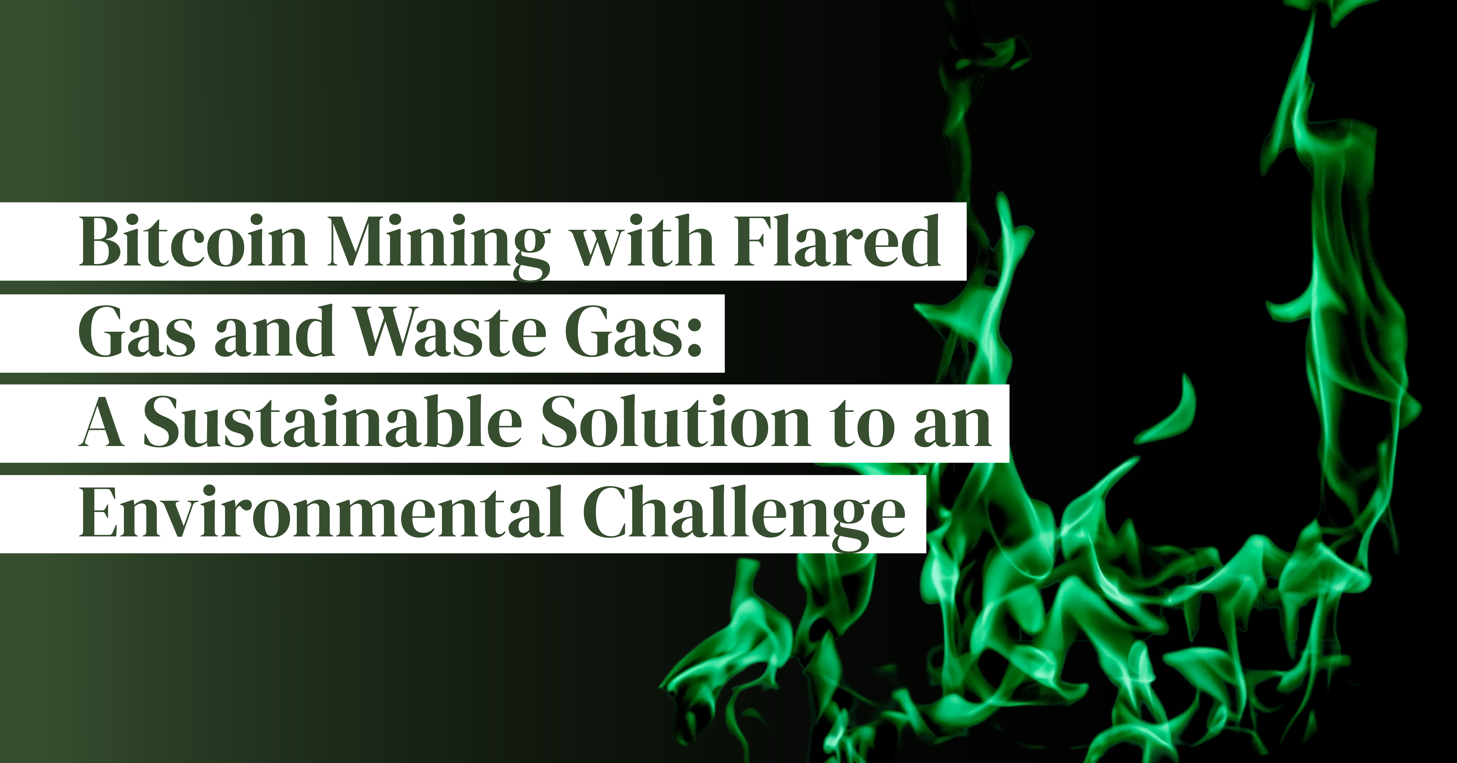 Bitcoin Mining with Flared Gas and Waste Gas: A Sustainable Solution to an Environmental Challenge